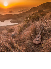 Load image into Gallery viewer, TODO Ukulele 26' Tenor Whale Acacia wood Full Solid + EQ (EQUALIZER)