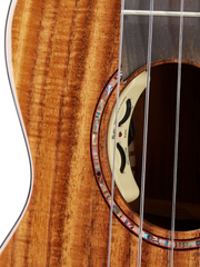 Load image into Gallery viewer, UKULELE DOUBLE EQ C1U/C2U