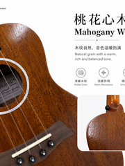 Load image into Gallery viewer, Ukunili 23" Concert Ukulele Mahogany Beginner UNL2330M
