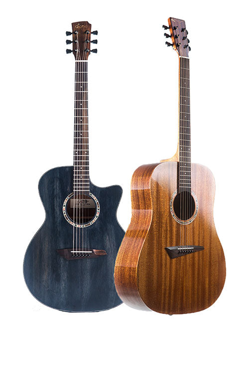 Acoustic Guitar