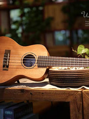 Load image into Gallery viewer, Uma Ukulele 23' Concert Spruce Solid Top UMA UK06SC