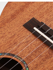 Load image into Gallery viewer, Uma Ukulele 23' Concert Full Solid Mahogany Gloss UMA UK20SC