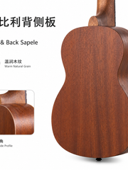 Load image into Gallery viewer, Uma Ukulele 21' Soprano Spruce Top Sapele UMA UK-SUN-SS1
