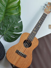 Load image into Gallery viewer, Adela Ukulele 23' Concert Mahogany Solid Top + EQ