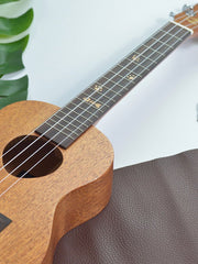 Load image into Gallery viewer, Adela Ukulele 23' Concert Mahogany Solid Top + EQ