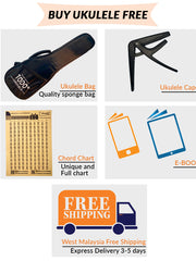 Load image into Gallery viewer, TODO Ukulele 23' Concert Spruce Solid Top