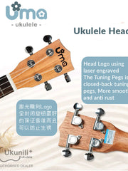Load image into Gallery viewer, Uma Ukulele 23' Concert Mahogany Solid Top  UMA UK05SC