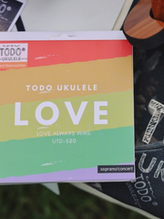 Load image into Gallery viewer, TODO Black Fluorocarbon Strings High-Quality,Clear Tone,Smooth Playability,Ukulele strings,original, 21/ 23/ 26 Inch
