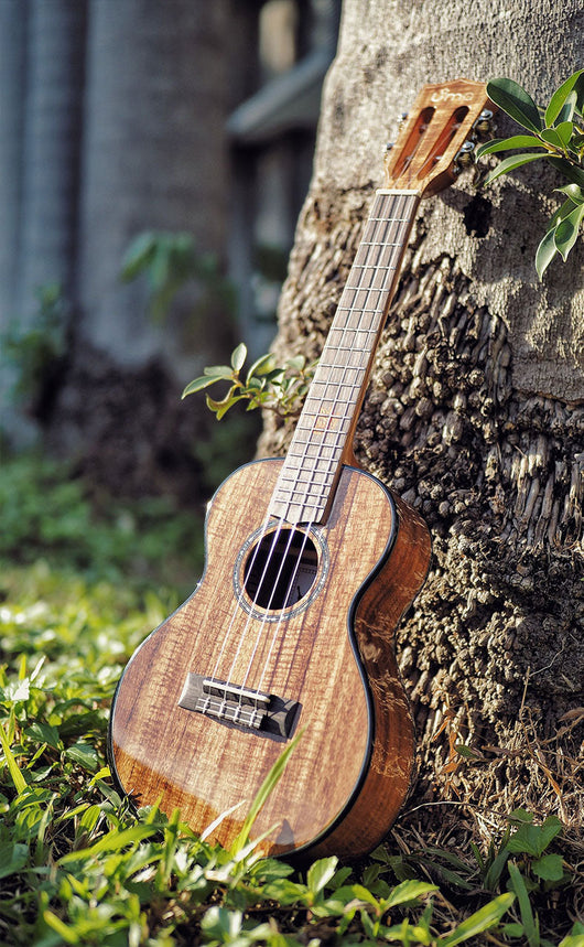 Uma Ukulele 26'Tenor Full Solid Acacia Koa UMA35ST