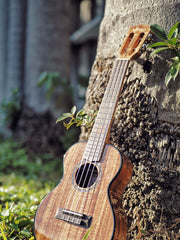 Load image into Gallery viewer, Uma Ukulele 26&#39;Tenor Full Solid Acacia Koa UMA-35ST + EQ (EQUALIZER)

