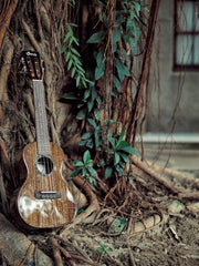 Load image into Gallery viewer, Uma Ukulele 26' Tenor Full Solid Mahogany Gloss UMA UK20STBlack