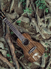 Load image into Gallery viewer, Uma Ukulele 23' Concert Full Solid Mahogany Gloss UMA UK20SCBlack