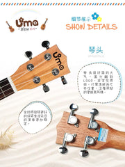 Load image into Gallery viewer, Uma Ukulele 21' Soprano Spruce Solid Top  UMA UK06SS