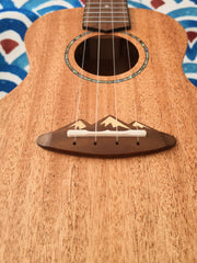 Load image into Gallery viewer, TODO Ukulele 23&#39; Concert Mahogany Solid Top + EQ (EQUALIZER)
