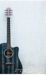 Diana 729 Acoustic Guitar 41 inches DarkPeacock