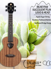 Load image into Gallery viewer, Adela Ukulele 23&#39; Concert Mahogany BearCub
