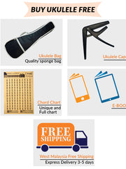 Load image into Gallery viewer, Ukunili Ukulele Concert 23&#39; Mahogany Solid Top 2330SM
