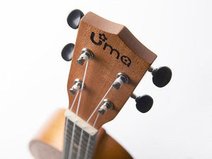 Uma Ukulele 23' Concert Mahogany wood UMA-TREECP