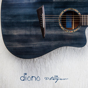 Diana 729 Acoustic Guitar 41 inches DarkPeacock