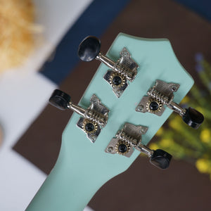 Ukunili Ukulele Soprano 21' Tiffany Blue (Matte)