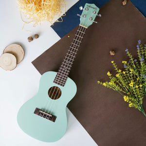 Ukunili Ukulele Concert 23' Tiffany Blue (Gloss)