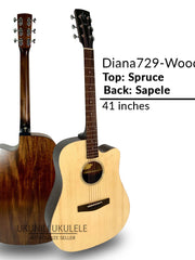 Load image into Gallery viewer, Diana 720 Acoustic Guitar 41 inches Wood
