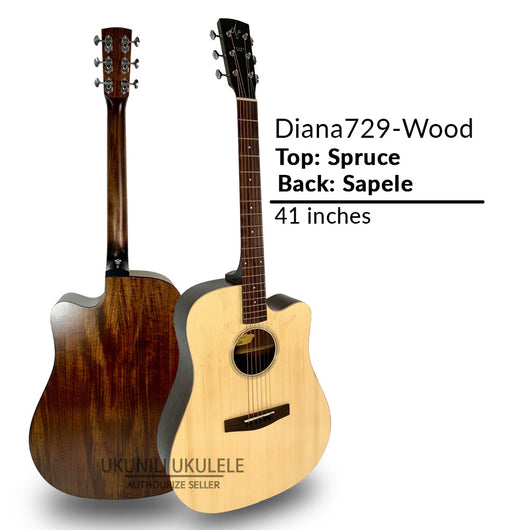 Diana 720 Acoustic Guitar 41 inches Wood