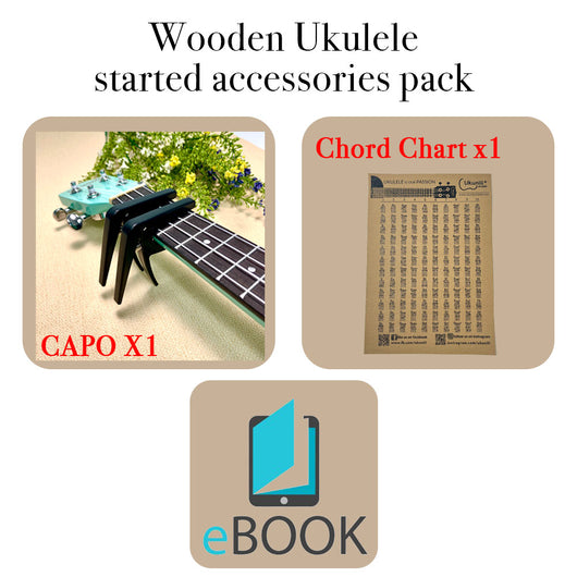 Accessories Pack Capo + Chord Chart + Ebook for Beginner (Rm 25)