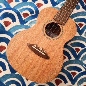 TODO Ukulele 23' Concert Mahogany Solid Top