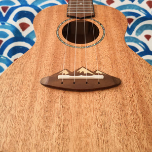 TODO Ukulele 23' Concert Mahogany Solid Top